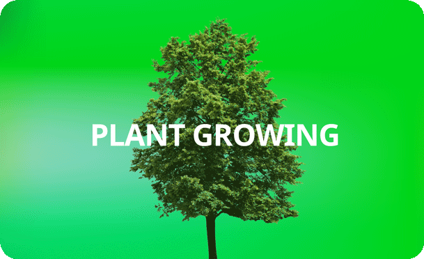 Plant growing